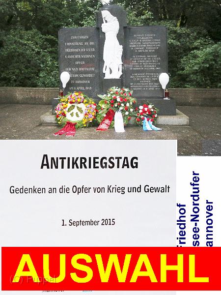 A AUSWAHL.jpg